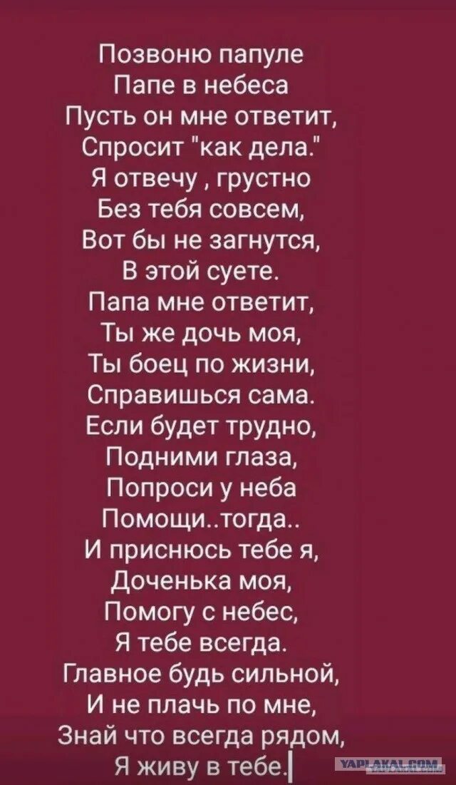 Год как нет папы картинки. Год как нет папы картинки