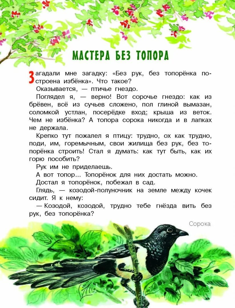 Рассказы и сказки о природе. Маленький рассказ о природе. Маленькие сказки про природу. Небольшие произведения о природе. Произведения бианки читать