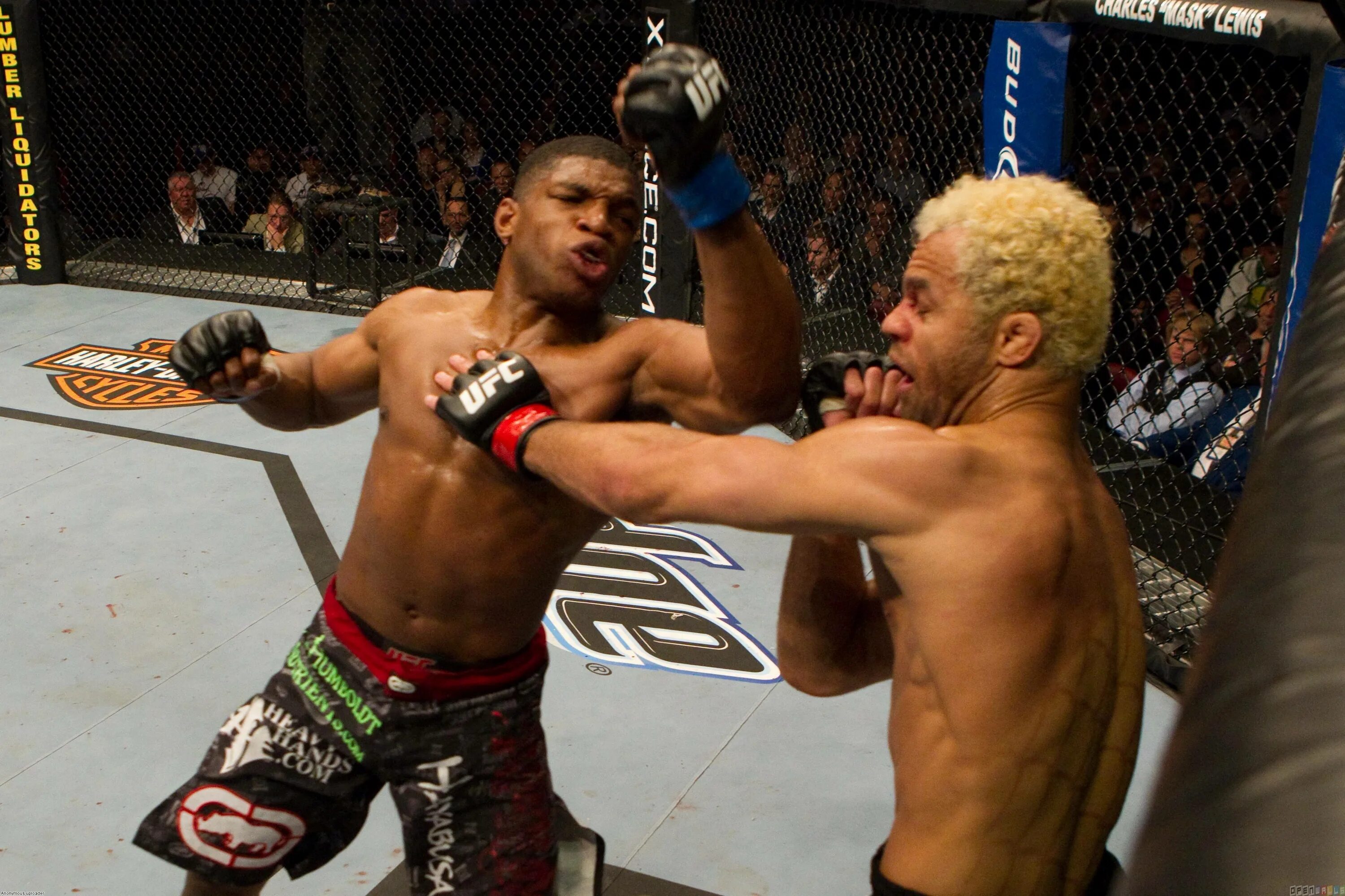 Paul Daley Josh Koscheck. Paul Daley UFC. Джош Кошчек. Josh Koscheck MMA Fighter.