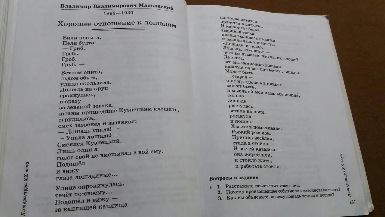 Любовь к лошадям стихотворение. Хорошее отношение к лошадям Маяковский. Стихотворение хорошее отношение к лошадяммаяковкмй. Стихотворение хорошее отношение к лошадям. Стихотворение "хорошее отношение к лошедям".