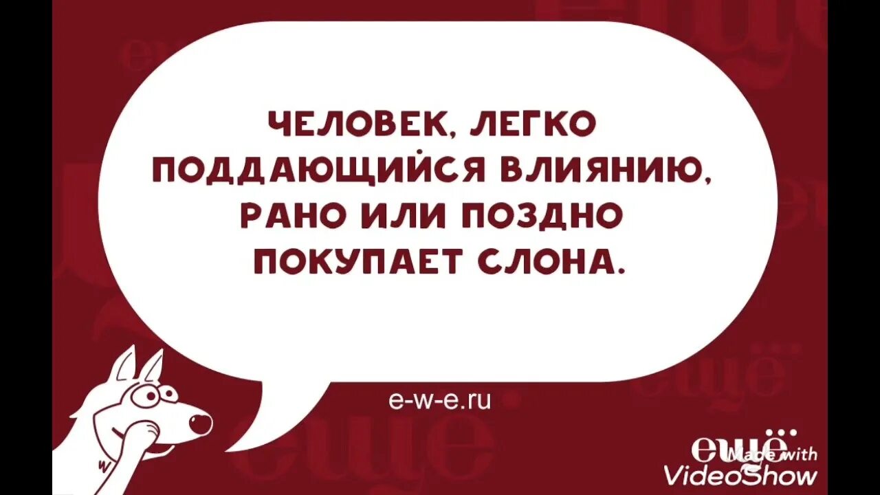 Будут предлагать купить у меня. Двустишия смешные. Двустишия смешные о жизни. Шутка купи слона.