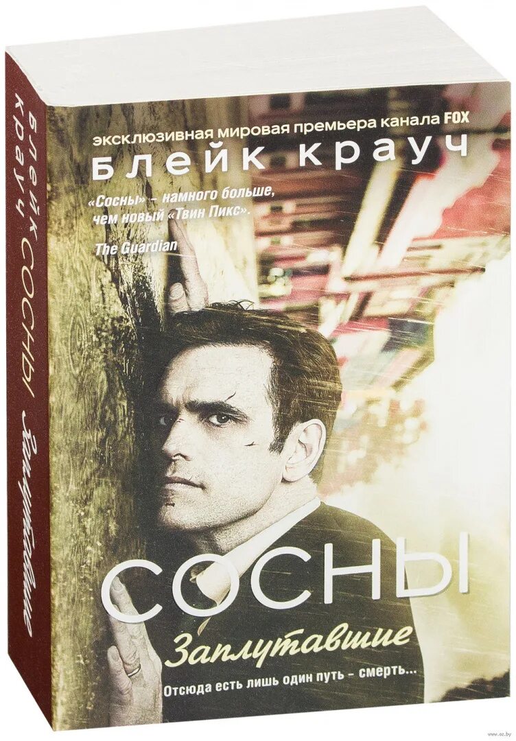 Сосны книга. Сосны город в нигде книга. Заплутавшие". Блейк крауч. Блейк крауч сосны город в нигде.