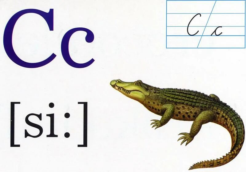 Слова c буквой x