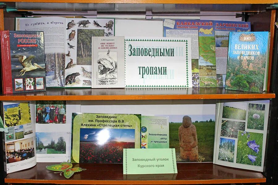 Цсб курск. Цсб курск