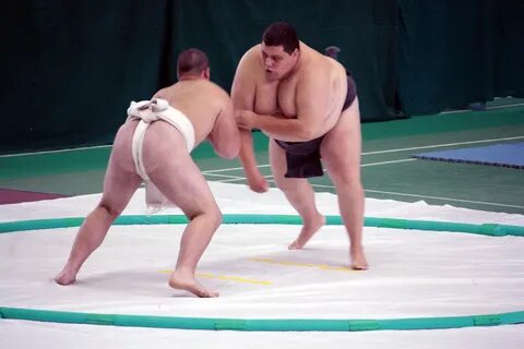 Борьба сумоистов