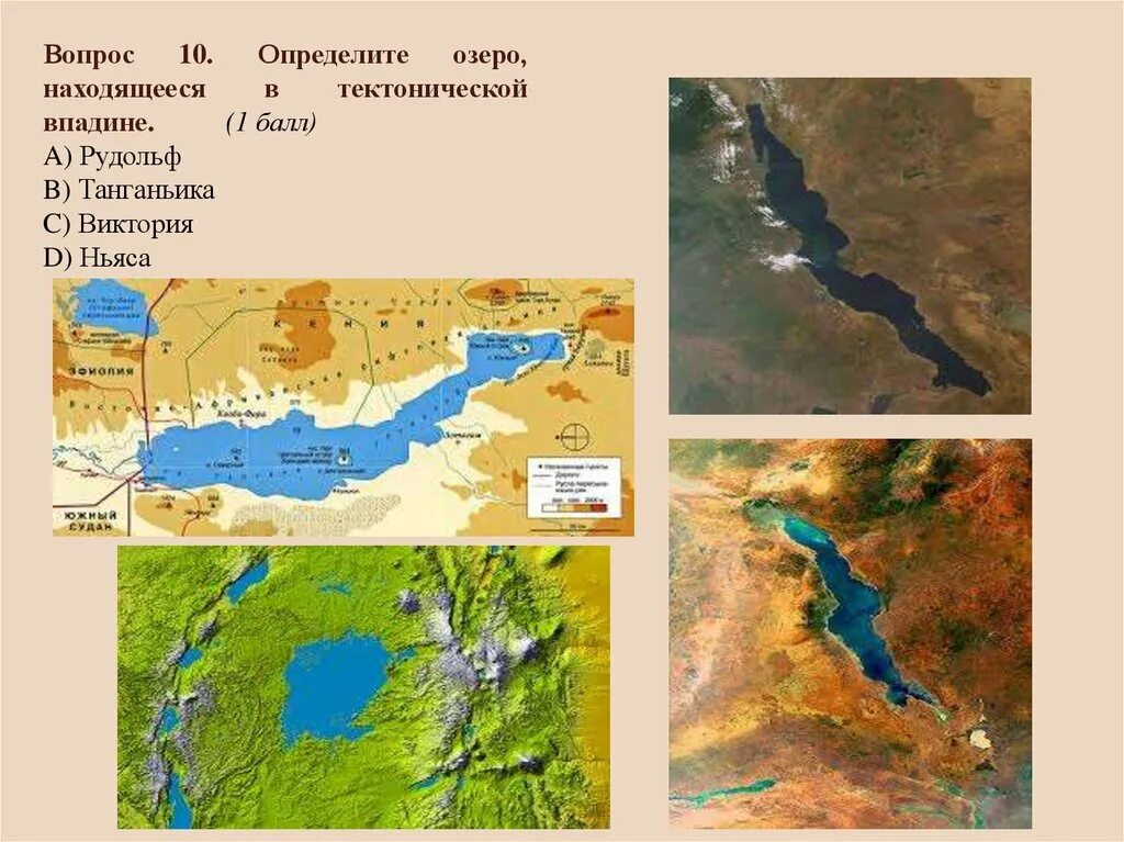 Танганьика площадь. Озера Танганьика и Ньяса.