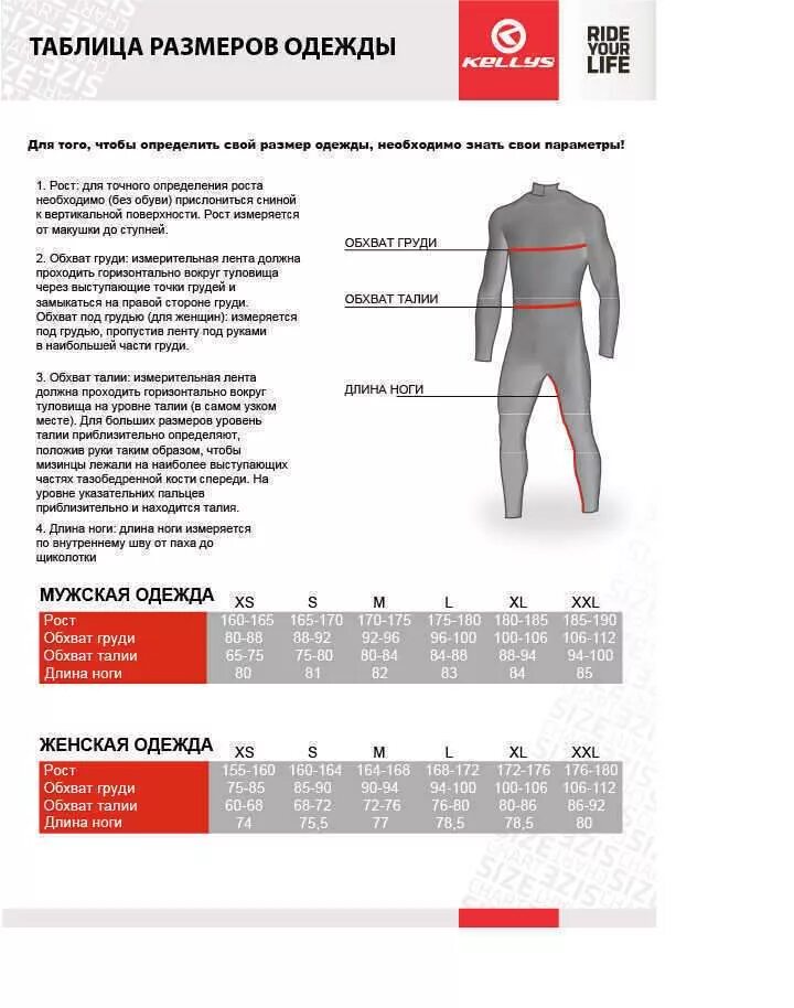 Женские размеры по росту таблица размеров. Ростовка мужской одежды. 2xl мужской размер трико. 48 размер мужской. Размерная таблица одежды 170-176 размер.
