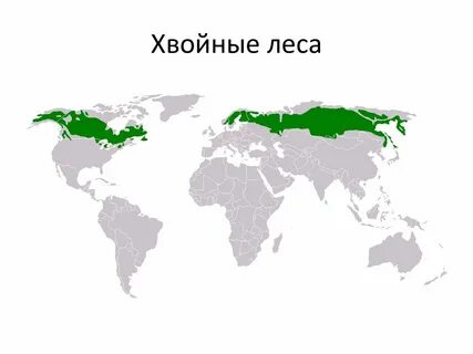 Лиственные хвойные леса евразии и северной