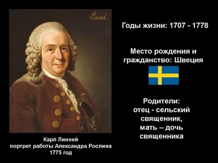 Сообщение о карле линнее