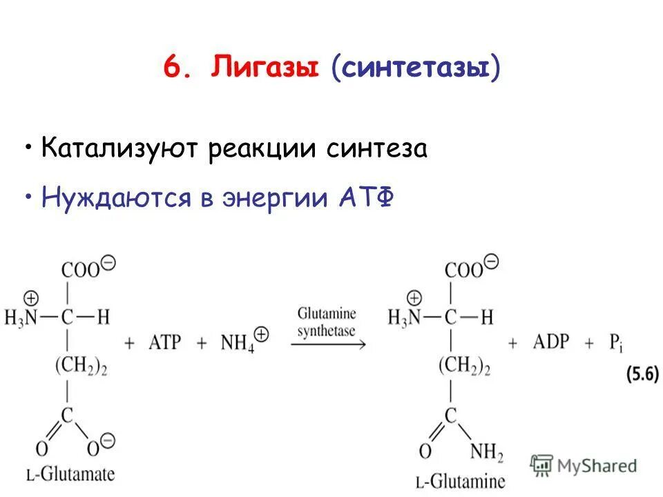 Лигазы реакции. Лигазы реакции