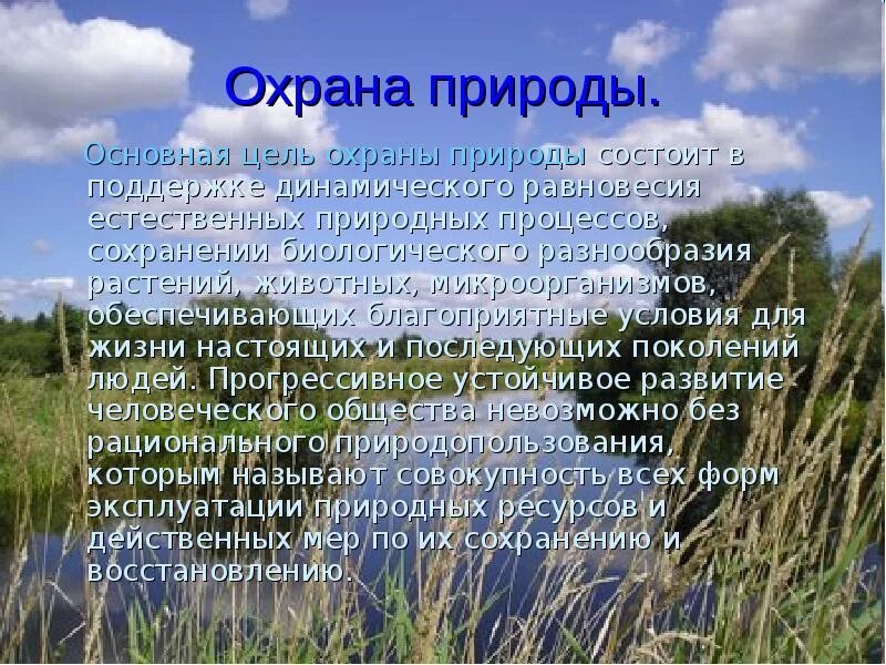Стих разнообразие