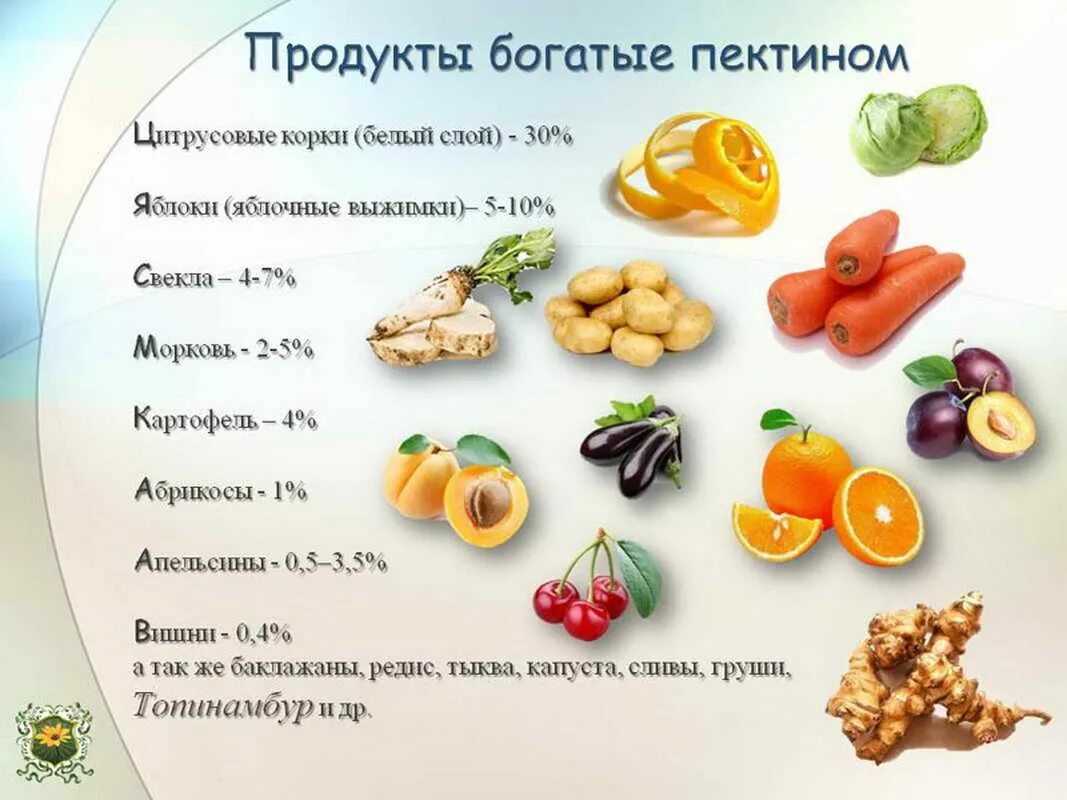 Лектины содержатся