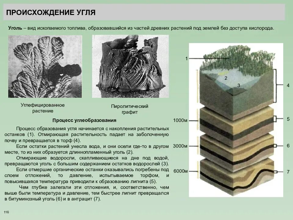 Появление каменного угля