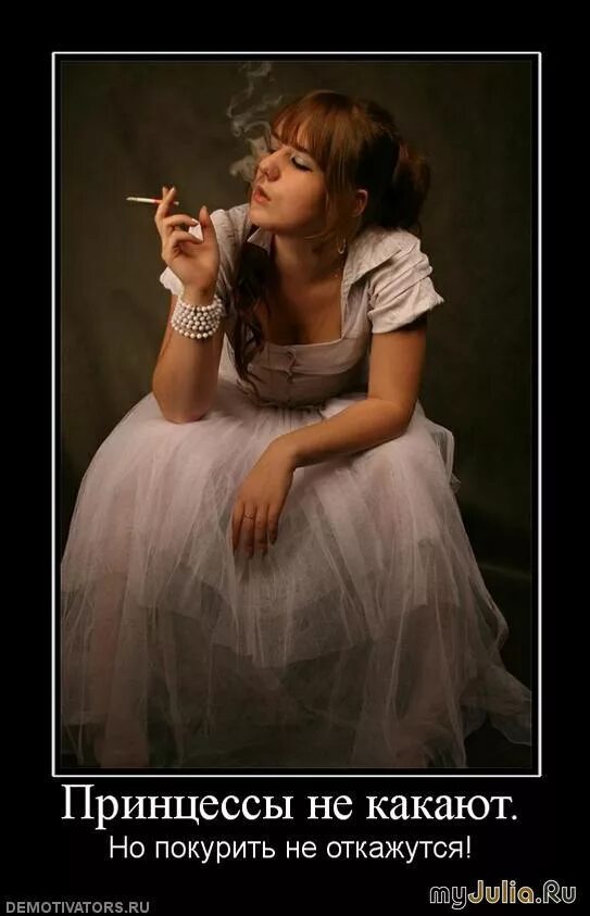какашки принцессы. принцесса на унитазе. принцесса на горшке. принцесса какает прикол. принцесса юмор.