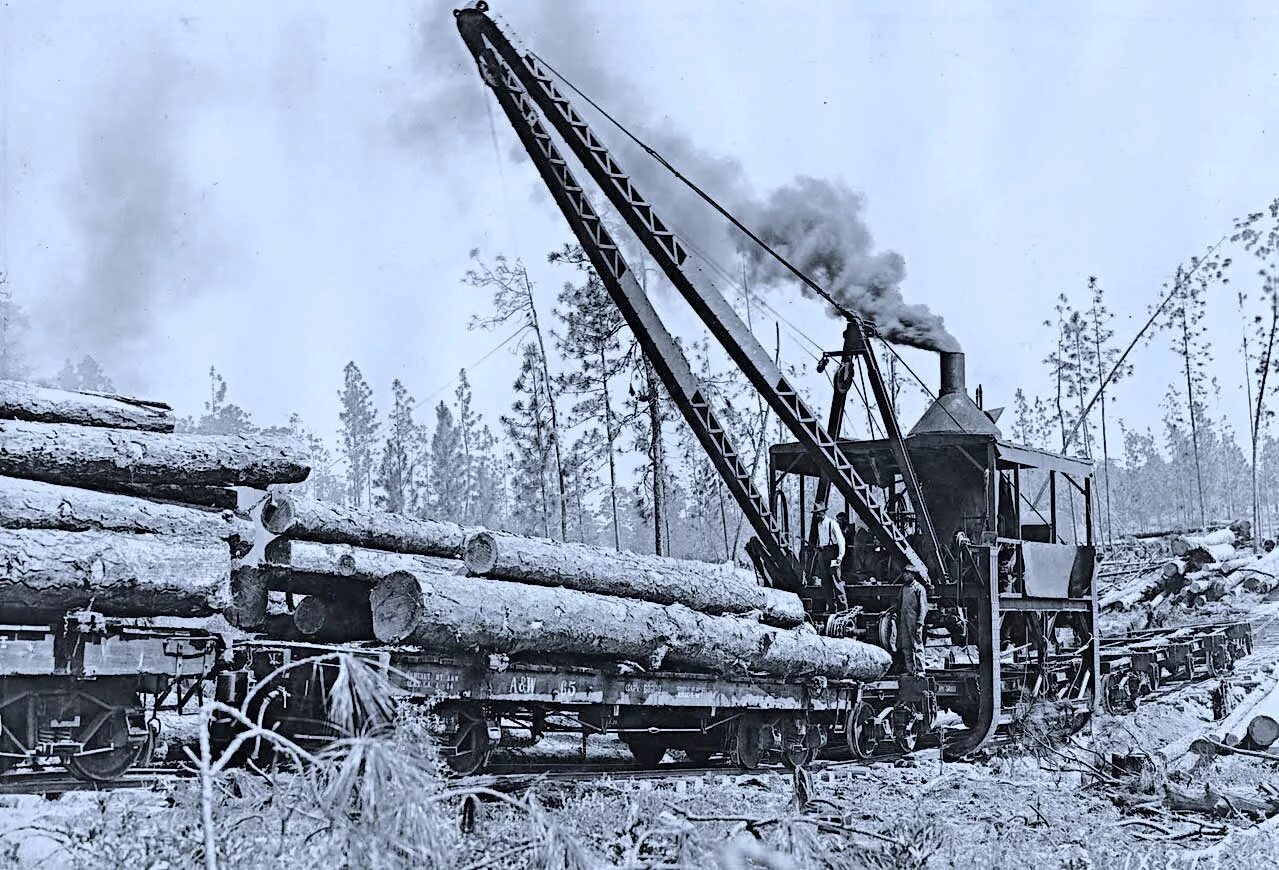 Logs posting. Logging 1899. Logging 1902. Logs railcar. Logging Train.