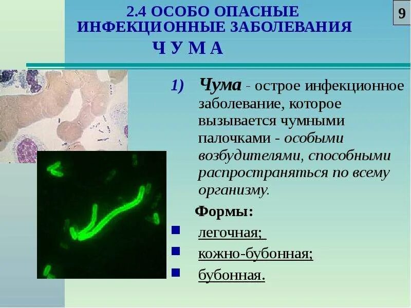 Опасные заболевания вызванные бактериями. Чума это инфекционное заболевание. Чума особо опасная инфекция. Чума лекция по инфекционным болезням. Бактериальная инфекция чума.