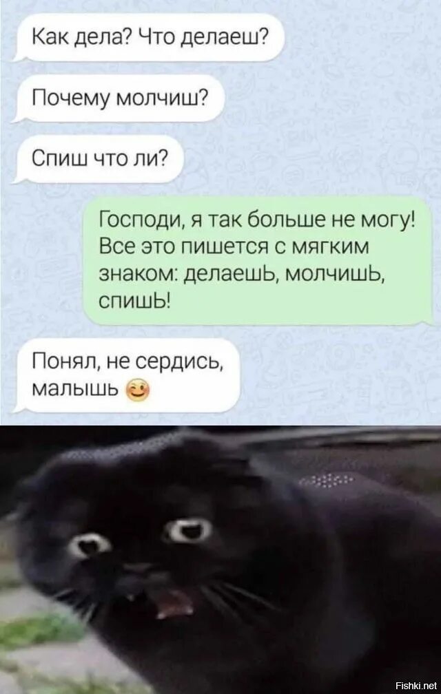Спишь что ответить парню