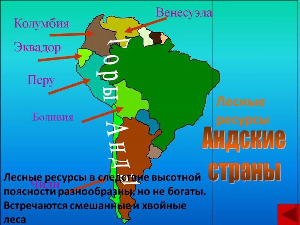 Андские страны на карте Южной Америки. Где находятся Андские страны на карте. Андские страны Латинской Америки. Регионы Южной Америки.