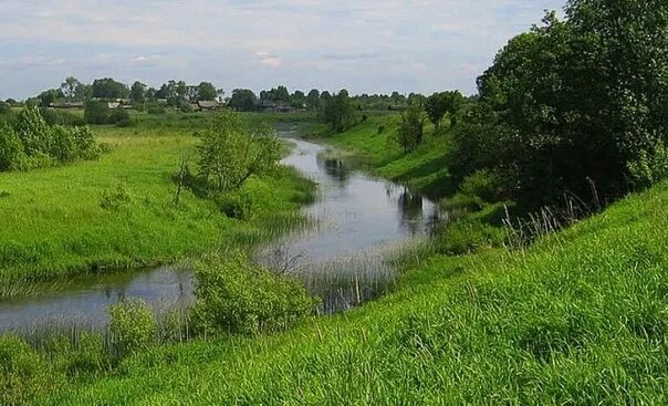 Река сить русь. Река сить Сонковского района. Река сить в Ярославской области. Река сить Пашучиха. Река сить сплав.