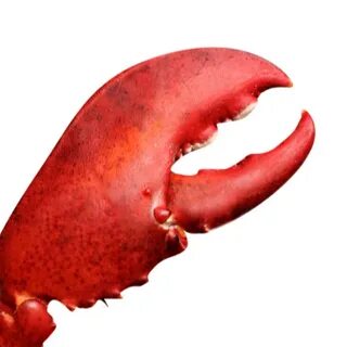 Крабовая рука