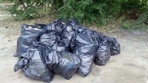 Более ста жителей Крестец пожаловались в местную администрацию на плохую уборку 