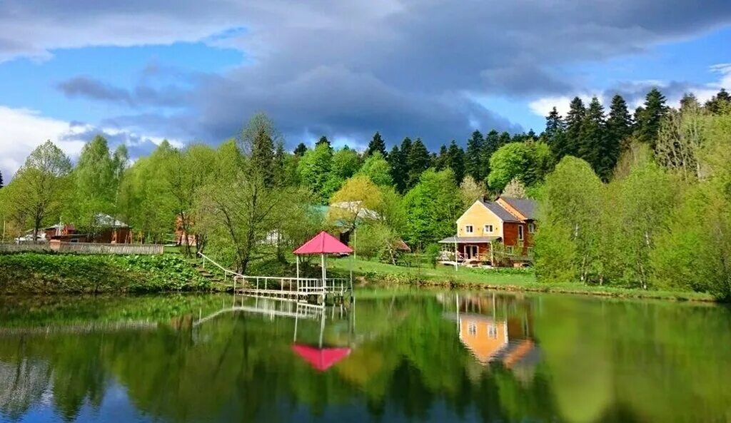 Адыгея пихтовый бор. Отель пихтовый бор в лаго-наки. Пихтовая роща лагонаки. Лагонаки пихтовый бор. Пихтовый бор апшеронский район.