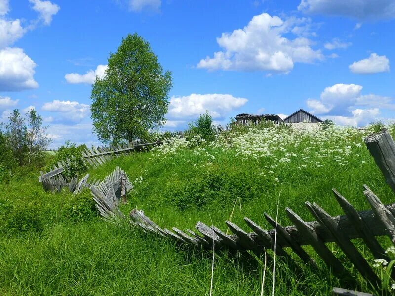 окрестности деревни. деревня черемушки мурашинский район. д. деревня силово миорский район. окрестности деревни.