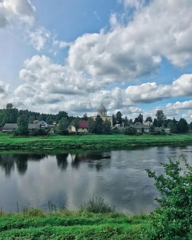 Мста новгородская область. Река Маста Новгородская область. Природа Новгородской области. Река Мста. Красивые места Новгородской области.