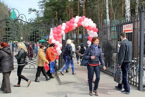 Автобус до парка елочки домодедово