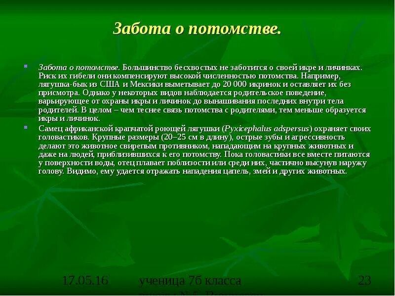 Какие животные заботятся о потомстве приведи примеры Животные которые не заботятся о потомстве Вопросы и ответы