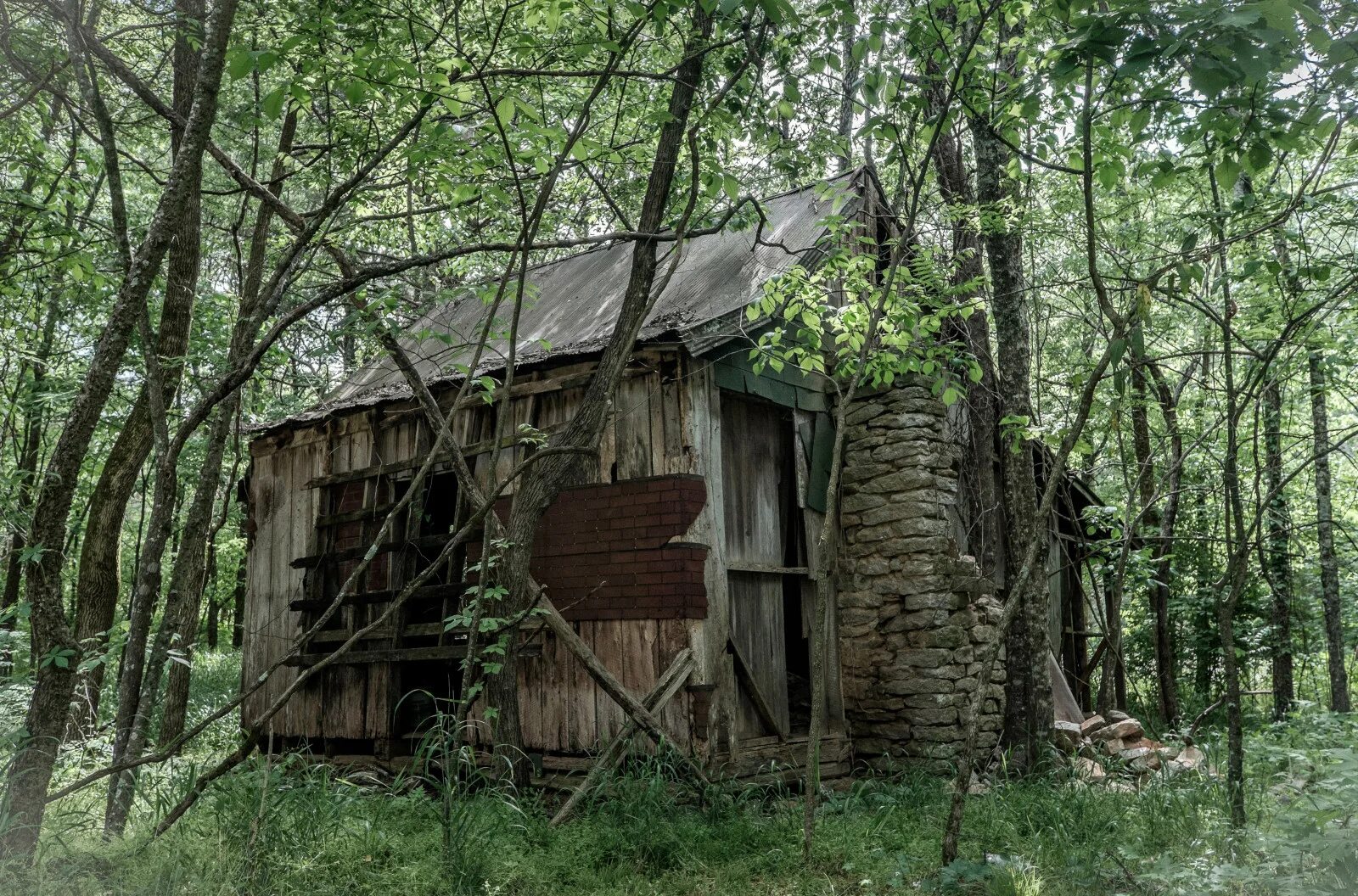 Хижина гномов, британская колумбия. Заброшенная хижина в лесу. Лесной шалаш старая. Хижина, сша экодом. Деревянный сарай в лесу.