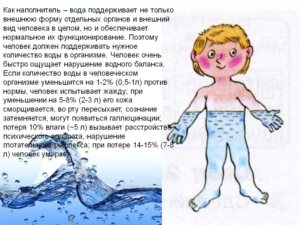 Человек на 75 состоит из воды. Человек состоит из воды для детей. Вода в организме человека для детей. Тело человека вода. Дети воды.