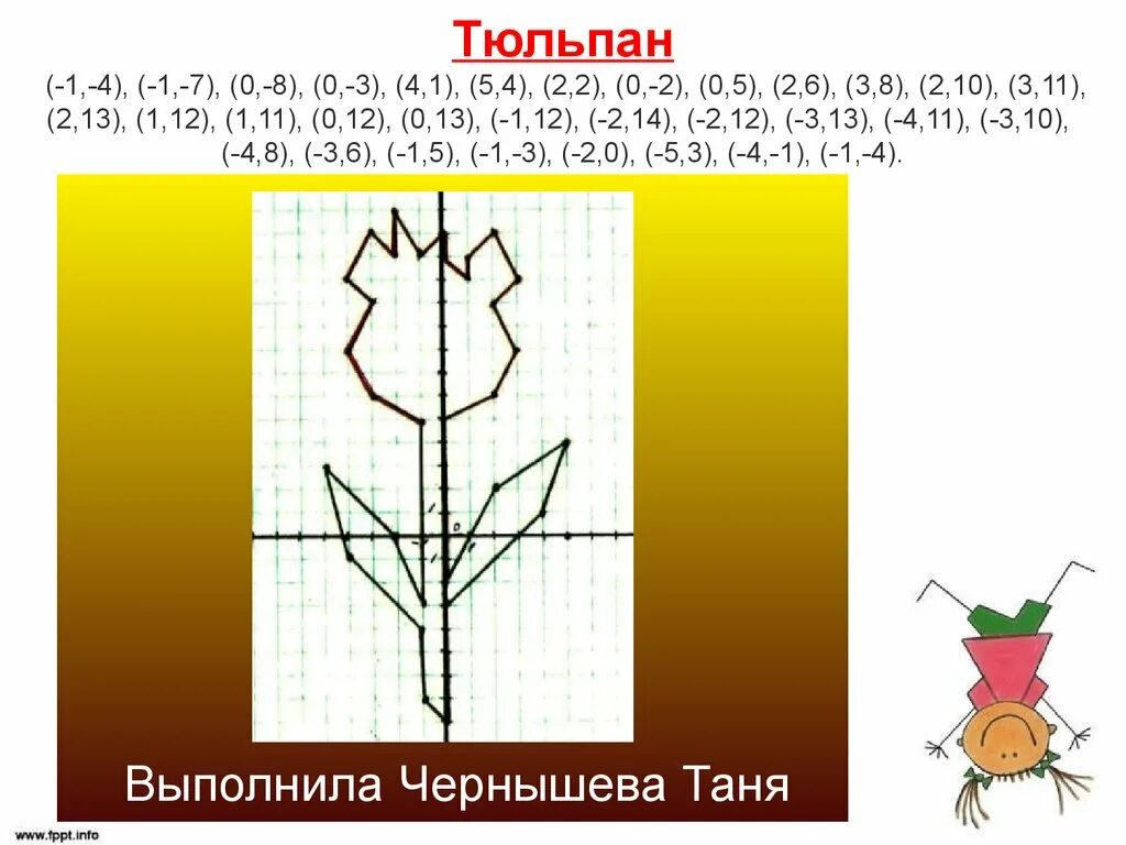 Тип тюльпана по симметрии