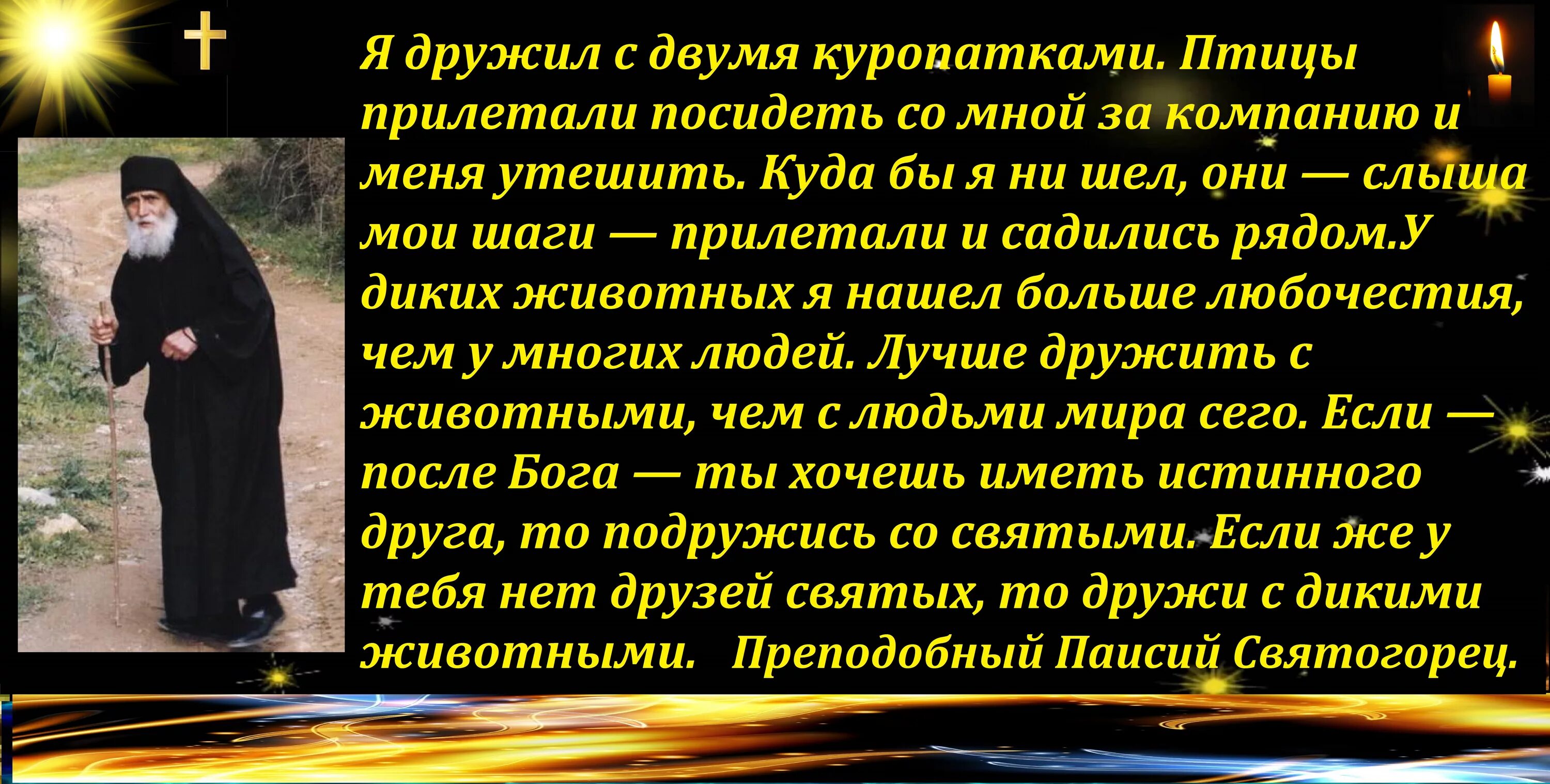 Предсказания святогорца. Святой Паисий Святогорец цитаты. Цитаты Святого Паисия Святогорца. Высказывания старца Паисия. Цитаты Паисия Святогорца о покаянии.