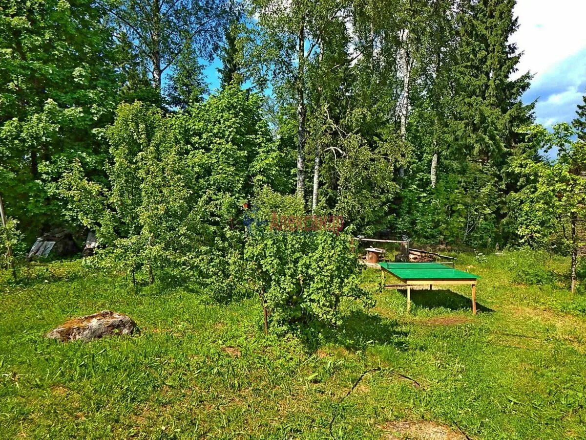 Погода горы приозерского