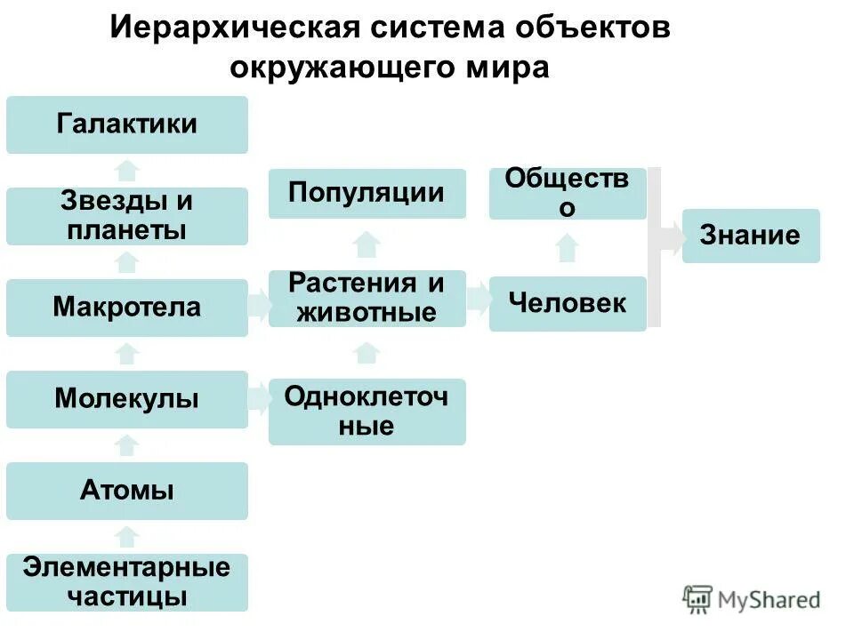 Иерархическая система общества