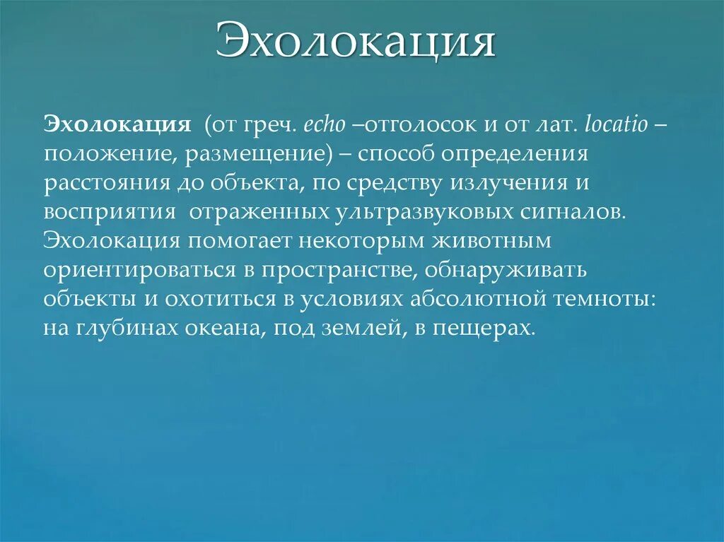 Эхолокация у животных. Эхолокация. ультразвук в эхолокации. эхолокация презентация.