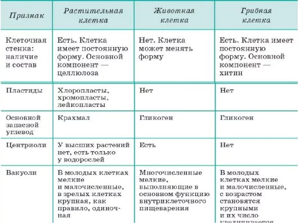 Сравнение бактерий грибов и растений. Особенности строения грибной клетки таблица. Сравнение клеток грибов растений и животных таблица. Растительная клетка животная клетка грибная клетка таблица. Клетки растений животных грибов и бактерий таблица.