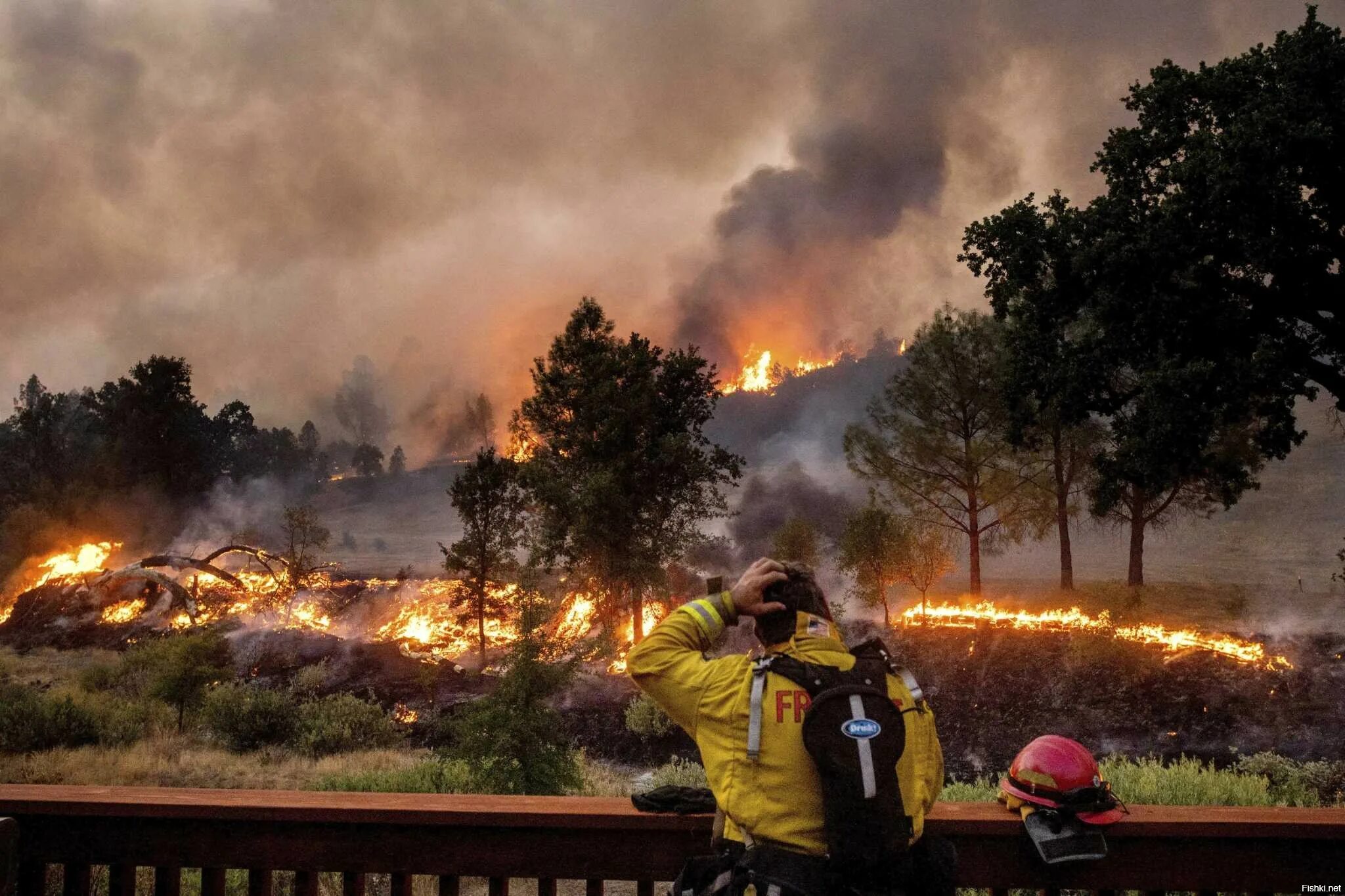 Лесные пожары в Калифорнии 2020. Лесные пожары в Калифорнии 2021. США Лесной пожар в Калифорнии. Пожар в Калифорнии 2021. Сгорела сша