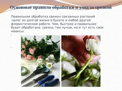 Букет инструкция