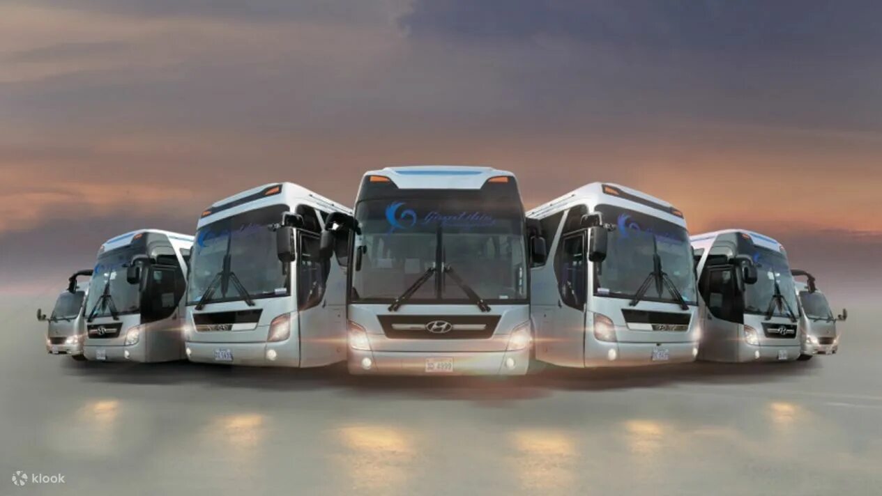 Share bus. Автобус. Автобус. Трансфер автобус. Автобус трансфер аэропорт.
