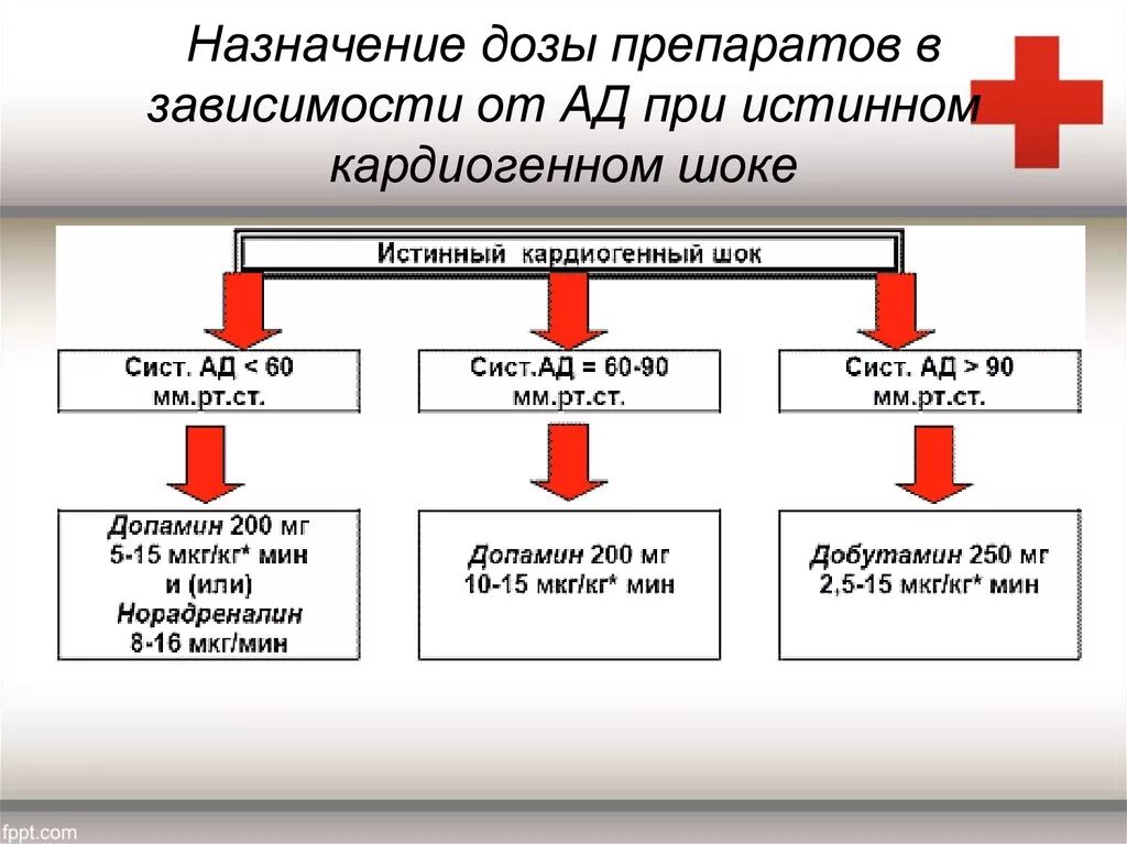Кардиогенный шок помощь алгоритм. Экстренная помощь при кардиогенном шоке алгоритм. препараты при кардиогенном шоке. при кардиогенном шоке применяют препараты. допамин при кардиогенном шоке.