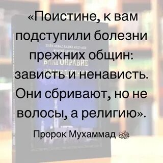 Урок благонравия глава первая она