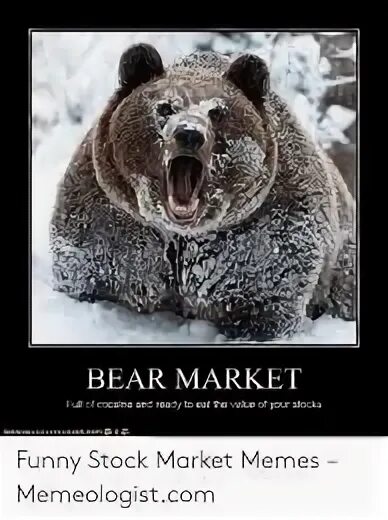 Bear Market memes. Кокаин Беар. Медведь я люблю кокаин. Bear перевод. Under bear перевод