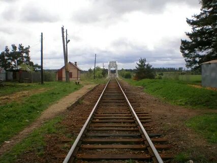 Васильевский мох тверь