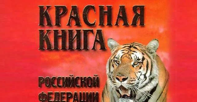 Урок по теме "Красная книга"