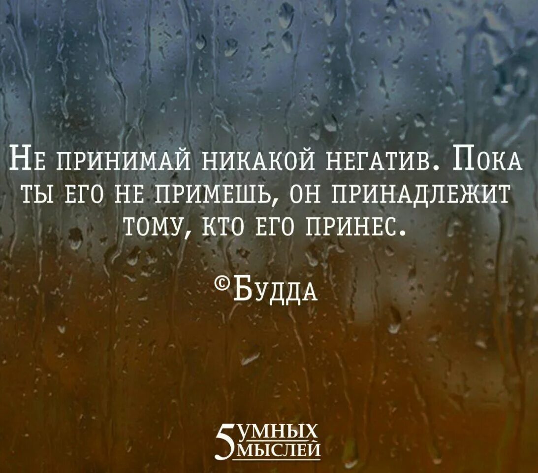 Высказывания о негативных людях. Не принимац никакой негати. Непртнемай никакой негоив. Сильные цитаты. Высказывания про негатив.