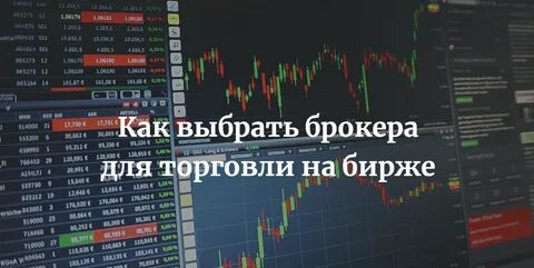 На какой бирже лучше торговать новичку