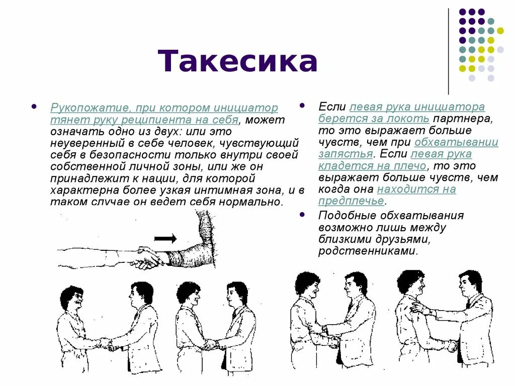 Такесика это