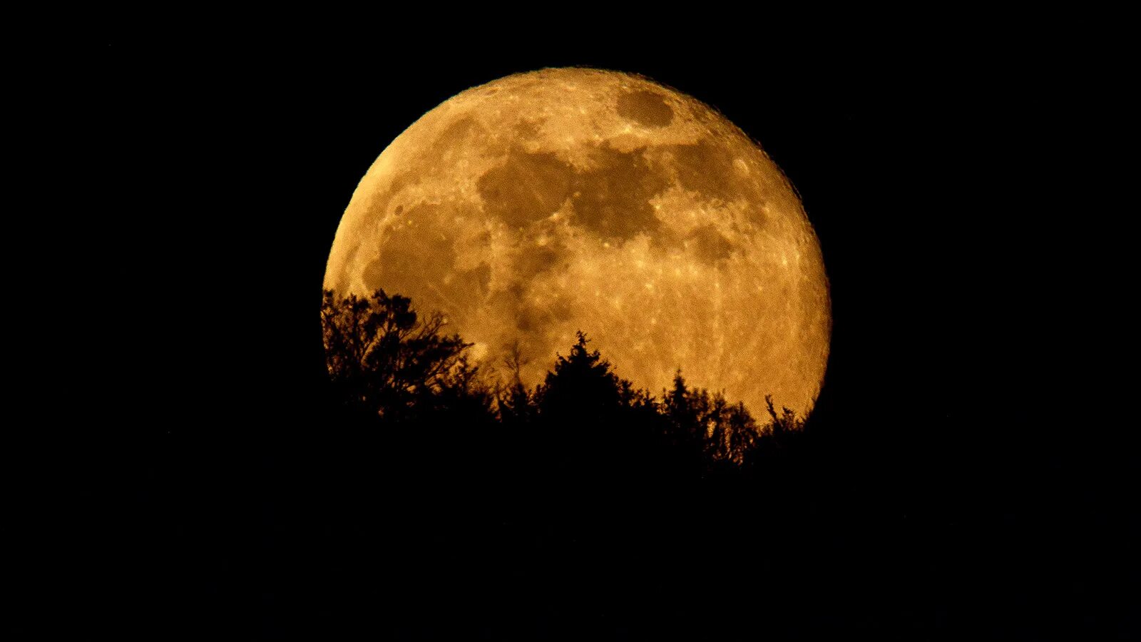 27 суток луна. Суперлуние. Луна в приближении. Луна приближается к земле. Wednesday Луна.